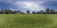 a 360 - view shows trees in a green field with a big hole and some clouds above them