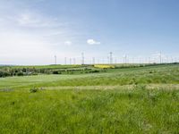 a green field with lots of tall grass and wind turbines in the background under blue sky