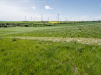 a green field with lots of tall grass and wind turbines in the background under blue sky