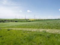 a green field with lots of tall grass and wind turbines in the background under blue sky