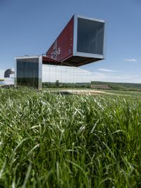 Green Fields in Germany: A Beautiful Agricultural Landscape