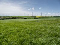 green fields, grass, and wind generators in the distance, in an area with bright blue sky