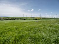 green fields, grass, and wind generators in the distance, in an area with bright blue sky