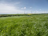 green fields, grass, and wind generators in the distance, in an area with bright blue sky