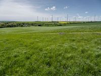 green fields, grass, and wind generators in the distance, in an area with bright blue sky