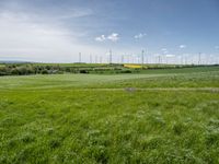 green fields, grass, and wind generators in the distance, in an area with bright blue sky