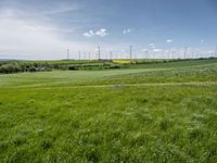 green fields, grass, and wind generators in the distance, in an area with bright blue sky