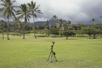 Green Golf Course under Clear Sky Landscape