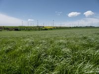 an empty grassy field with windmills in the background and wind turbines behind it,