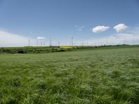 an empty grassy field with windmills in the background and wind turbines behind it,