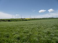 an empty grassy field with windmills in the background and wind turbines behind it,