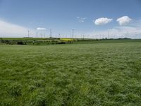 an empty grassy field with windmills in the background and wind turbines behind it,