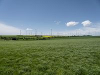 an empty grassy field with windmills in the background and wind turbines behind it,