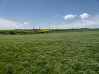 an empty grassy field with windmills in the background and wind turbines behind it,