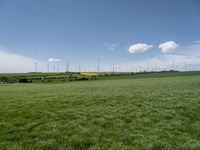 an empty grassy field with windmills in the background and wind turbines behind it,