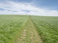 the trail goes through a grassy green field with a lone house in the distance,