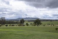 a field filled with green grass next to two trees and some hills in the distance