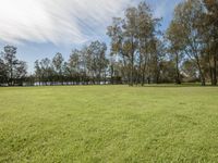 green grass sits near trees and a lake in the distance, with a few clouds overhead