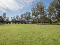 green grass sits near trees and a lake in the distance, with a few clouds overhead