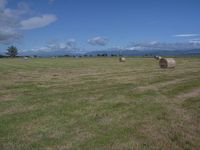 a grassy field with hay rolls in it and trees behind them against a blue sky