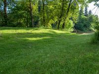 a large grassy field that is covered in green grass in front of trees and trees on the side of it