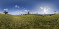 a wide - angle view of green grassy plains with trees on top of the hill