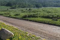 Green Landscape in Crested Butte, Colorado