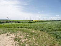 windmills in a grassy field under blue sky with some clouds and water in the distance