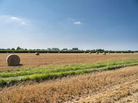 a field with hay bales sitting in it and green grass and a bright blue sky behind it