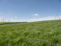 Green Landscape with Wind Turbine in a Rural Village in Germany