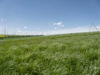 Green Landscape with Wind Turbine in a Rural Village in Germany