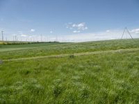 Green Landscape with Wind Turbine in a Rural Village in Germany