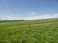 Green Landscape with Wind Turbine in a Rural Village in Germany