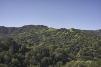 an image of green mountain top in the sun light day time during the daytime season