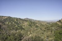 an image of green mountain top in the sun light day time during the daytime season