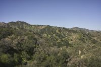 an image of green mountain top in the sun light day time during the daytime season