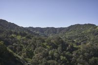 an image of green mountain top in the sun light day time during the daytime season