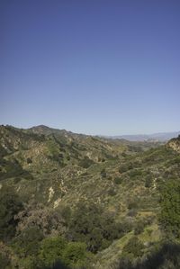 an image of green mountain top in the sun light day time during the daytime season