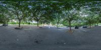 a fisheye photo of a park area with various types of equipment on it and a row of trees in the background