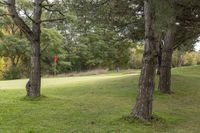 a green and a red object in the woods outside of a park area and golf course