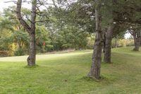 a green and a red object in the woods outside of a park area and golf course