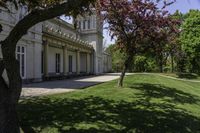 Green Vegetation and Building Windows with Trees