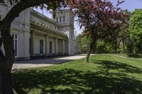 Green Vegetation and Building Windows with Trees