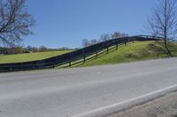 Green Vegetation on a Toronto Farm