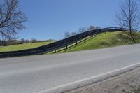 Green Vegetation on a Toronto Farm