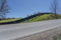 Green Vegetation on a Toronto Farm