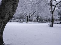 some snow and trees in a park with snow flakes all around them's branches