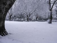 some snow and trees in a park with snow flakes all around them's branches