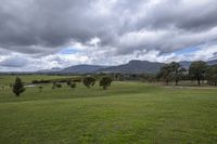 view of mountains with some clouds above them, from a hill top near trees and a park