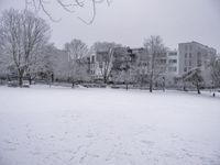 a snow scene in a city park in the winter and a snowy tree line is in the background